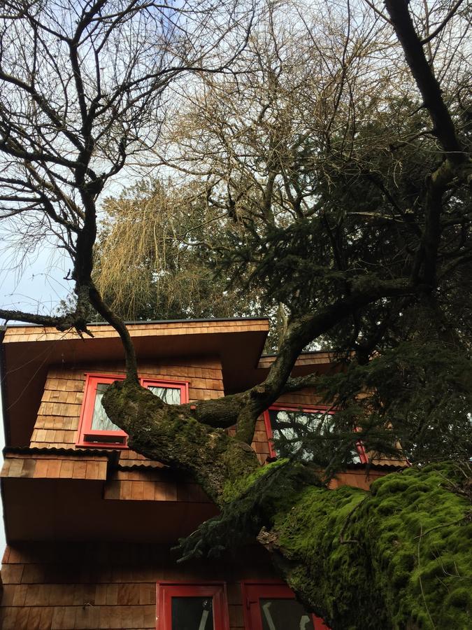 Almabosque Cabanas Puerto Varas Exterior foto