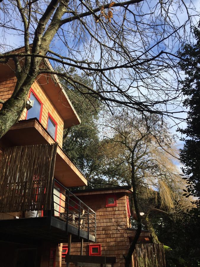 Almabosque Cabanas Puerto Varas Exterior foto